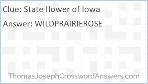 State flower of Iowa Answer