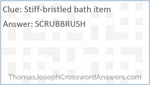 Stiff-bristled bath item Answer