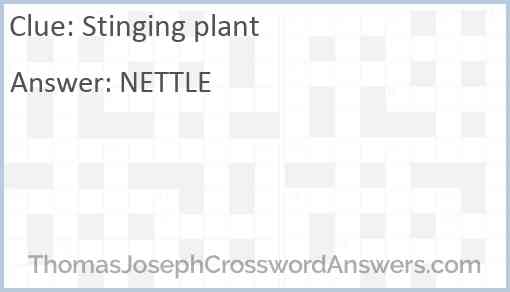 Stinging plant Answer