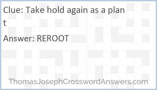 Take hold again as a plant Answer