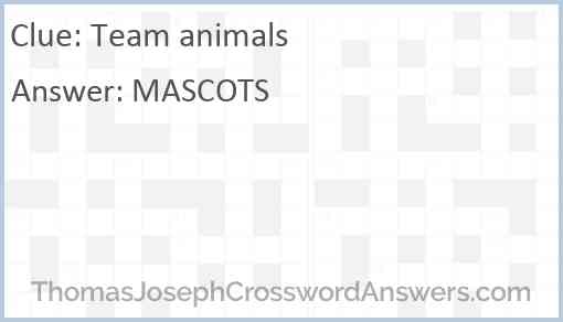 Team animals Answer