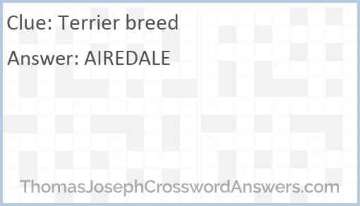 Terrier breed Answer