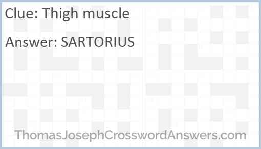 Thigh muscle Answer