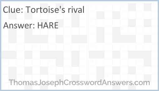 Tortoise’s rival Answer