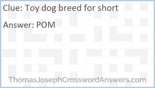 Toy dog breed for short Answer