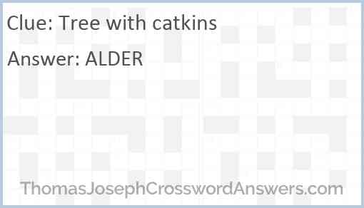 Tree with catkins Answer