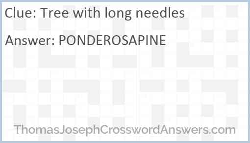 Tree with long needles Answer