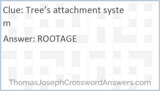 Tree’s attachment system Answer