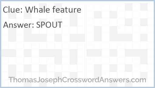 Whale feature Answer