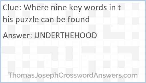 Where nine key words in this puzzle can be found Answer
