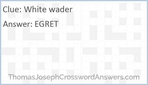 White wader Answer