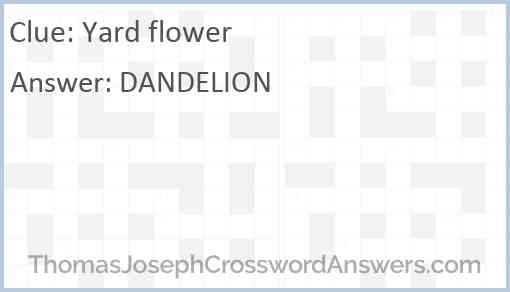 Yard flower Answer