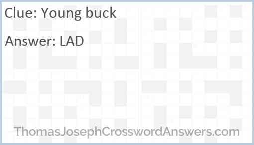 Young buck crossword clue ThomasJosephCrosswordAnswers com