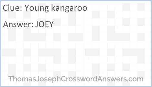Young kangaroo Answer