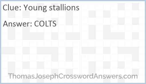 Young stallions Answer