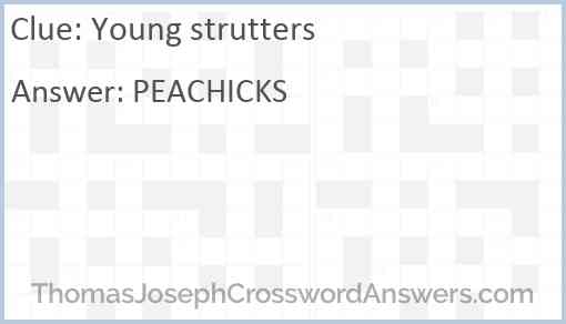 Young strutters Answer
